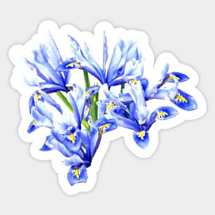 Purple Dwarf Iris Heart Sticker